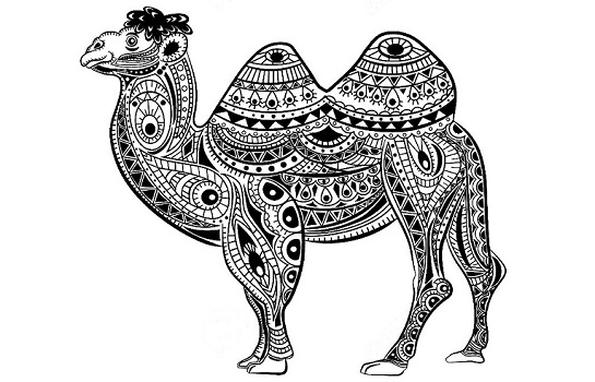 Dibujos de camellos para colorear e imprimir