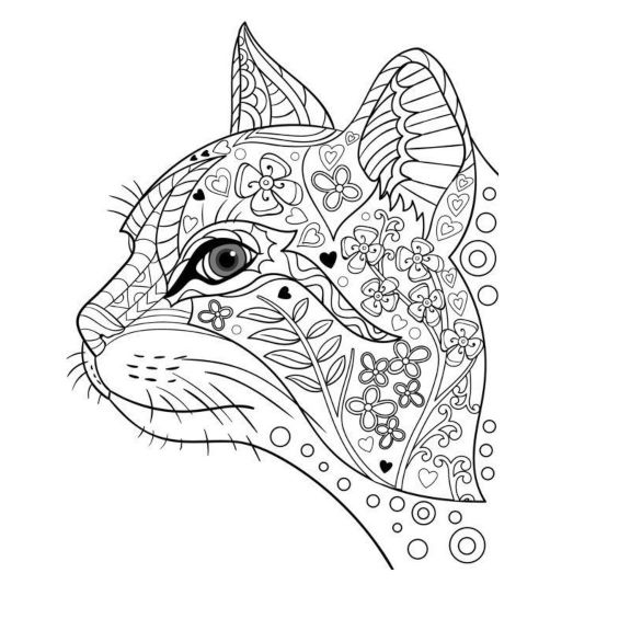 gato mandala para imprimir colorear