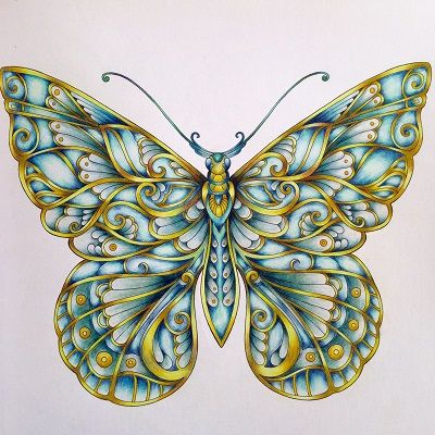 mandala de mariposa coloreada