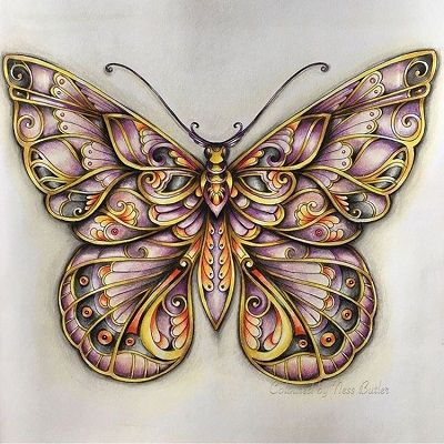 mandalas de mariposas a color