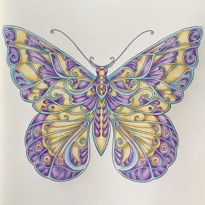 mandalas de mariposas coloreadas