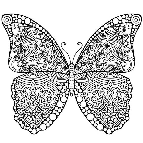 mariposa mandala para colorear
