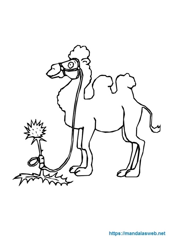 Dibujo de un camello