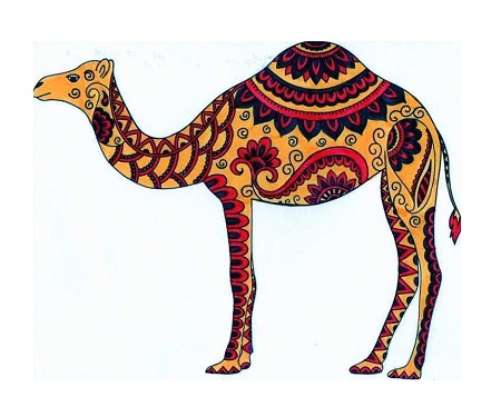 Dibujos de camellos a color