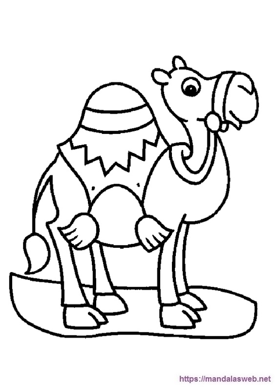 Dibujos de camellos para colorear