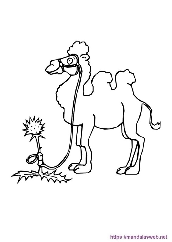 imagen de camello para colorear