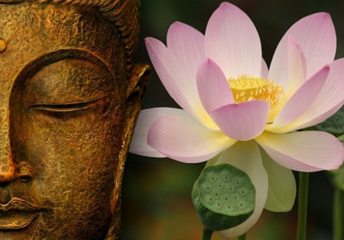 La flor de loto en el budismo